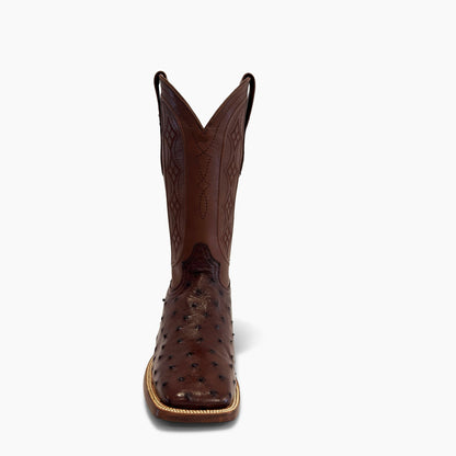 Don Pascual brown full quill ostrich square toe cowboy boot — front view showing square toe shape and deep chocolate brown full quill ostrich vamp