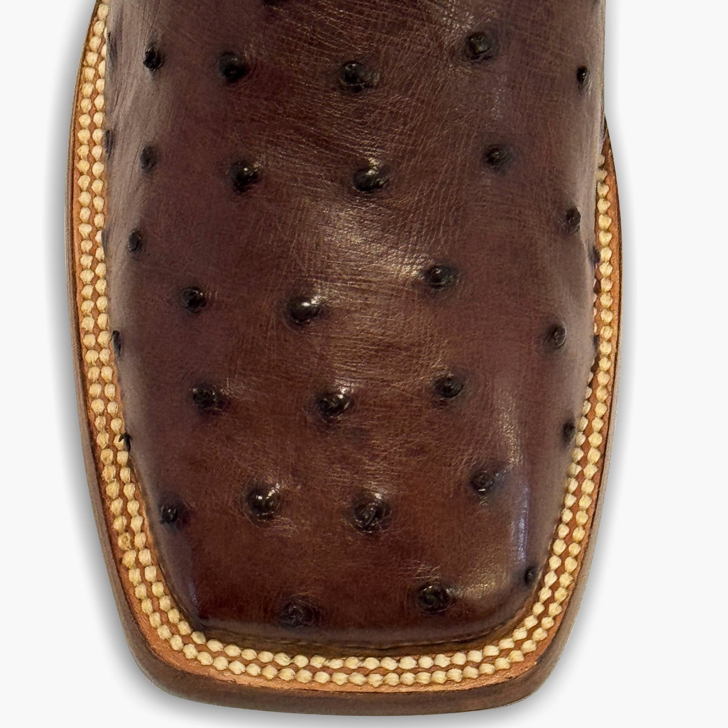 Don Pascual brown full quill ostrich square toe cowboy boot — close-up of square toe showing individual quill follicles and cream welt stitching in deep chocolate brown