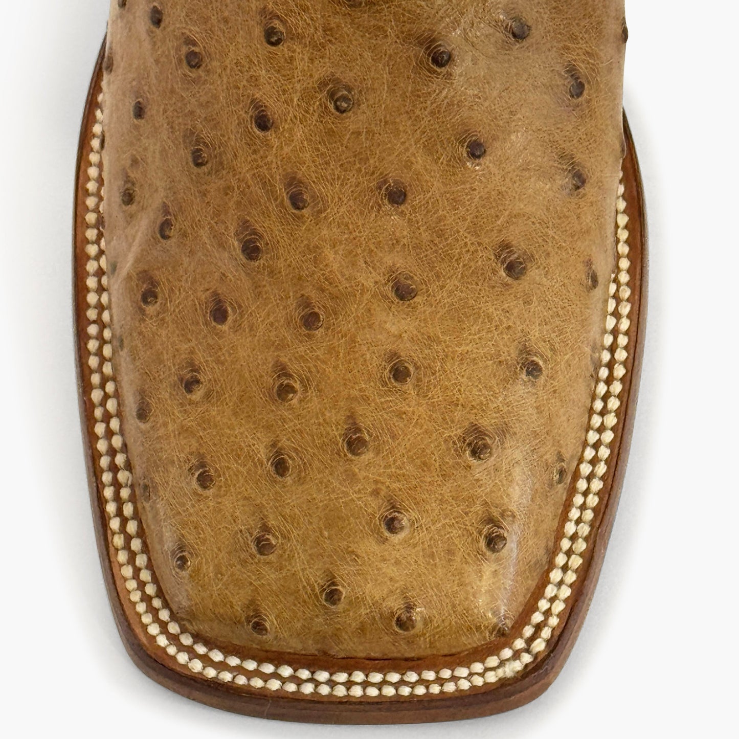 Don Pascual desert full quill ostrich square toe cowboy boot — close-up of square toe showing natural full quill ostrich texture and cream welt stitching in desert colorway