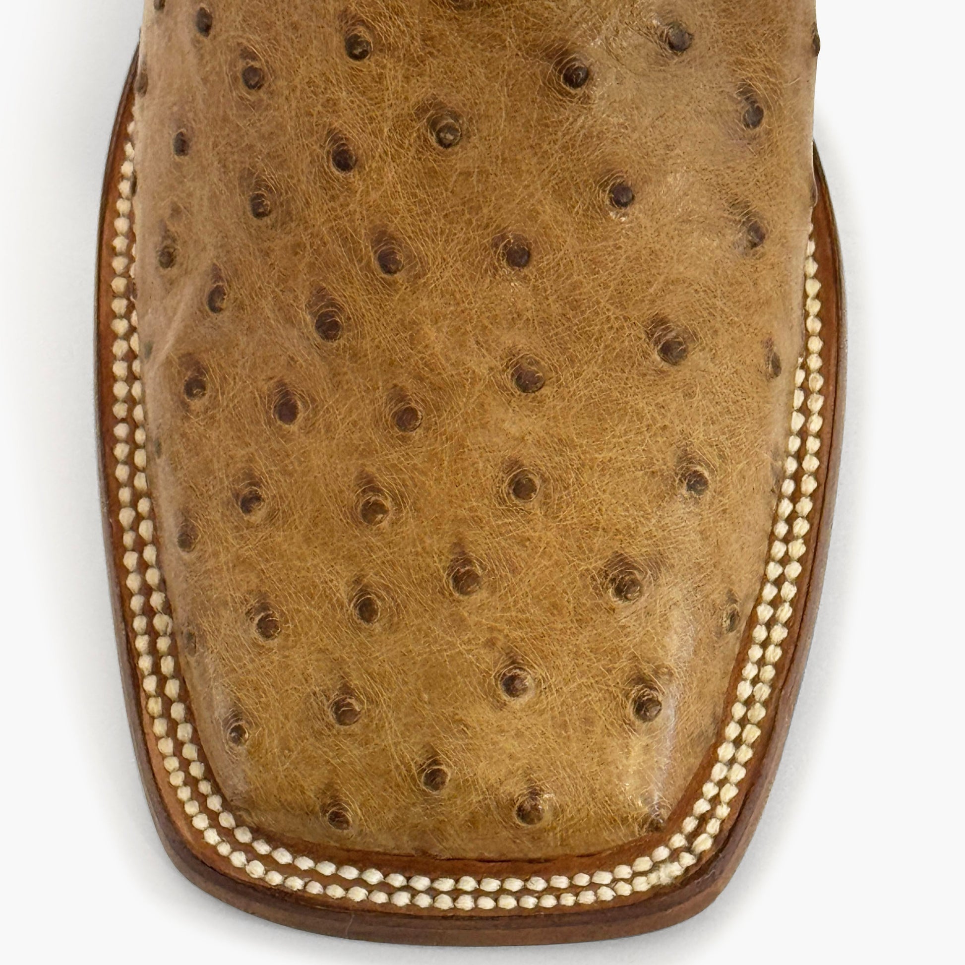 Don Pascual desert full quill ostrich square toe cowboy boot — close-up of square toe showing natural full quill ostrich texture and cream welt stitching in desert colorway